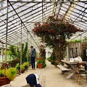 Eclectic Beach Greenhouse