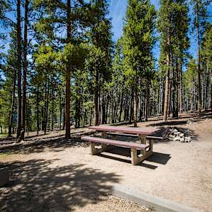 My favorite camp spot in all of Colorado