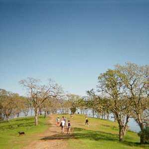 Top of the hill