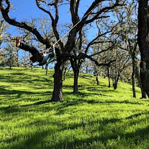 Swing!