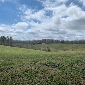 View from our site