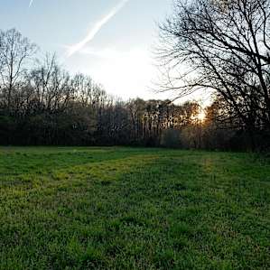 Site near the creek