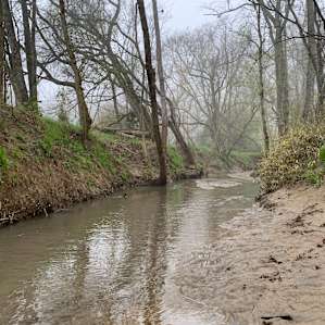 Creek