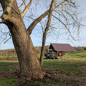 Jemerson Creek Camp