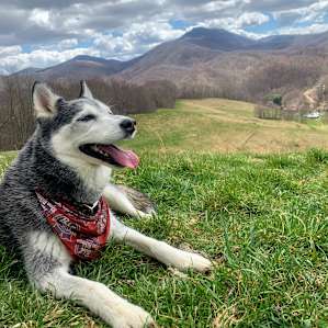 Pasture Paradise