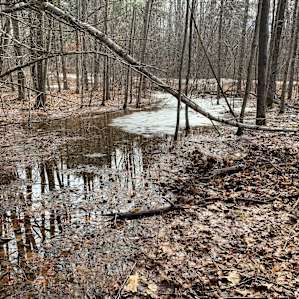 The creek #2