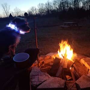 Campfire by the water, Lou has his glow collar on.