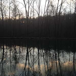 Sunset over the pond creating reflections of the early spring trees in the water.