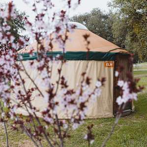 Stallion Oaks Ranch ~16' Yurt