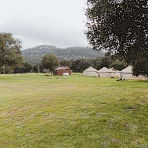 Stallion Oaks Ranch ~16' Yurt