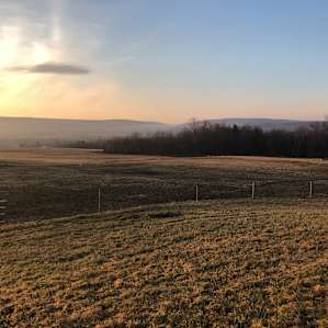 Letchworth Farm.