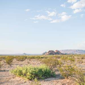 Stunning desert views!
