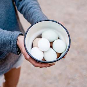 Farm fresh eggs gifted by the host.