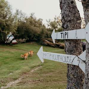 Cute signs around the property.