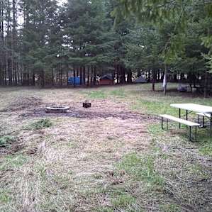A Oasis in the country in pasture
