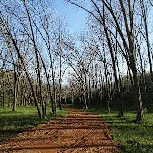 Shady Grove. 50 sites available.