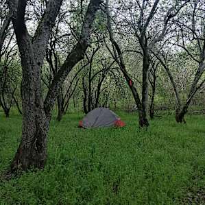 Shady Grove. 50 sites available.