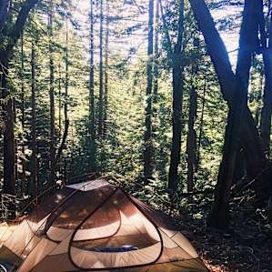 Good morning from Waterman Gap Trail Camp