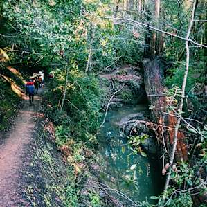 We found some trail friends and some salamander friends!