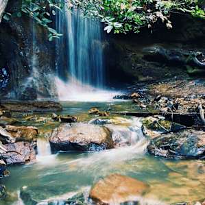 Berry Creek Falls