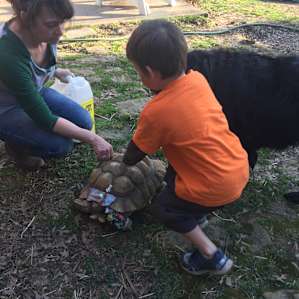Unas really enjoyed assisting our hostess Kelly with all of the feedings and collecting eggs.