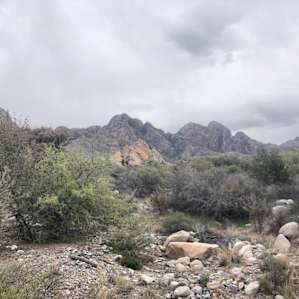 got quite close to the mountains on a short hike near dripping springs
