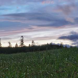 Grey Owl Hollow