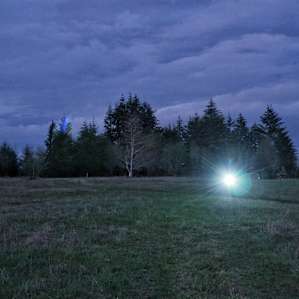 Grey Owl Hollow