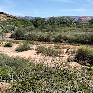 River next to camp