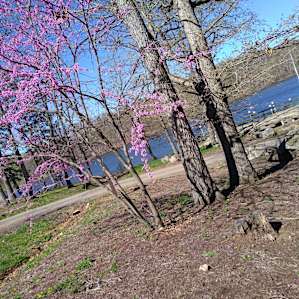 RV site #2 - 50 amp by the lake