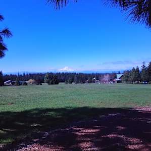 Mt. Adams Abode