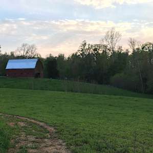 Dragonfly Farms