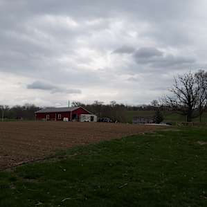 Quiet Veg. Farm, Brewery Next Door