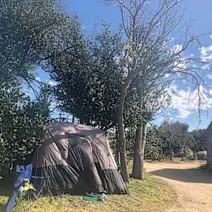Trees helped with shade, and were right next to the (compost) toilet and patio area.