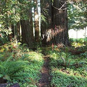 The start of the path from parking