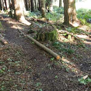 Well maintained and good guide-ways