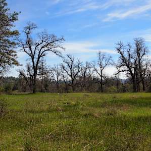 Meadow by the creek a few miles away