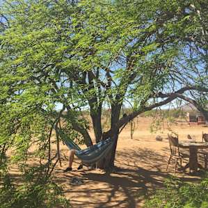 Kicking back in the hammock at the Bee Hive