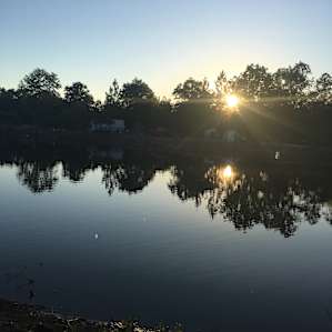 Sarah Bella Farm, Ranch and Camping