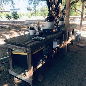 Outdoor Kitchen.