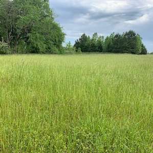 Camping and ATV trails at Pea Ridge