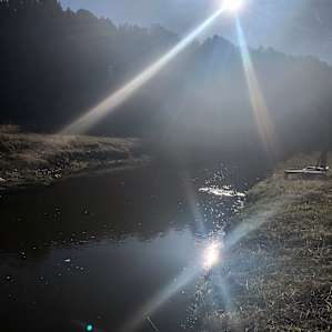 Where’s your fly rod when you need it?