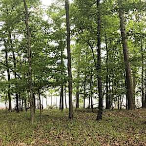Eagle Drive Campground