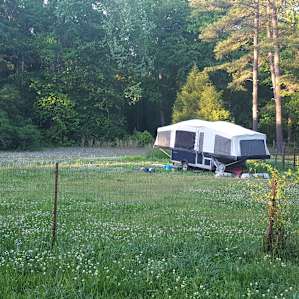 Our camper surrounded by wild flowers