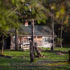 At the end of the long driveway, you're opened to this view of the Lil Cabin. There is a clearly marked parking spot, along with a path leading up to the front door, and around back to the porch.