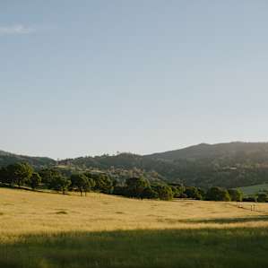 View of the meadow from the campsite.