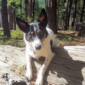 Stella having a good time in Eagle Hill