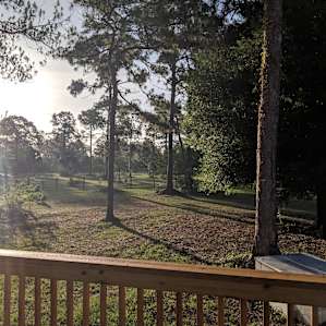 Enjoying the sunrise from the back porch!