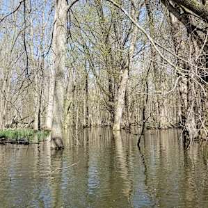 Tippecanoe Riverside
