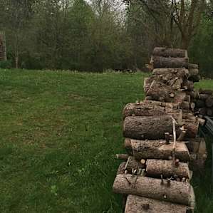 Abundant supply of wood next to campsite